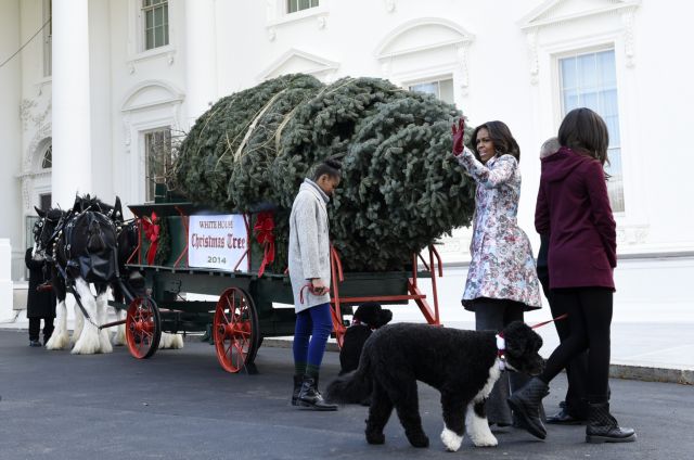 Το χριστουγεννιάτικο δέντρο έφτασε στον Λευκό Οίκο